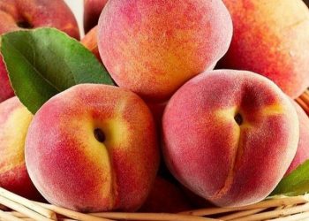 Ini 6 Manfaat Konsumsi Buah Peach untuk Kesehatan Tubuh, Rasanya Manis Segar dan Kaya Nutrisi