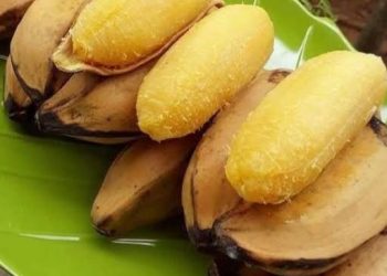 6 Rekomendasi Buah Pengganti Nasi untuk Berbuka Puasa, Lebih Ringan dan Bisa Bikin Kenyang