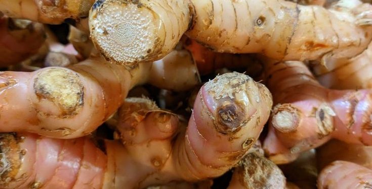 Perlu Tahu! 6 Manfaat Lengkuas untuk Kesehatan Tubuh, Rempah Alami dengan Khasiat Luar Biasa