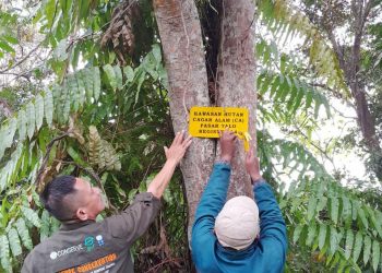 Cegah Perambahan, BKSDA Seluma Pasang Plang Peringatan di TWA Pasar Ngalam dan Pasar Talo