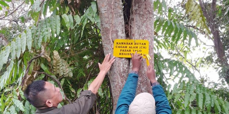 Cegah Perambahan, BKSDA Seluma Pasang Plang Peringatan di TWA Pasar Ngalam dan Pasar Talo