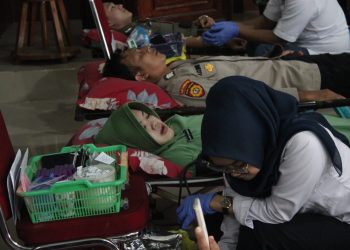 Sambut HUT ke-80 Korem 041/Gamas, Kodim Seluma Kumpulkan 207 Kantong Darah