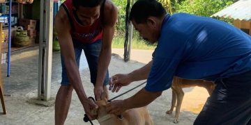 Targetkan Seluma Bebas Rabies, 2.080 Hewan Peliharaan di 6 Kecamatan Sukses Divaksinasi