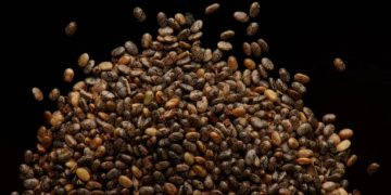 Jangan Kalap Makan Chia Seed, Ini 6 Risiko Kesehatan yang Perlu Diwaspadai