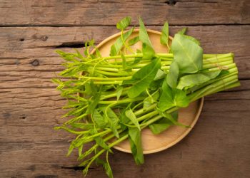 Kaya Akan Kandungan Vitamin A, Inilah 7 Manfaat Kangkun untuk Kesehatan