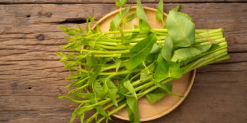 Kaya Akan Kandungan Vitamin A, Inilah 7 Manfaat Kangkun untuk Kesehatan