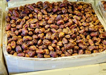 Tips Membeli Kurma agar Tak Salah Pilih Selama Ramadan, Jangan Salah!