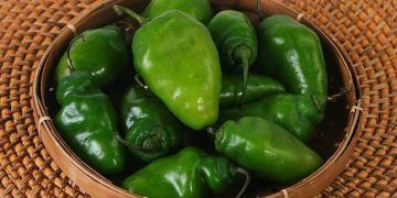 Oseng Cabe Gendot Sambal Teri, Pedasnya Nendang dan Gurihnya Bikin Nambah