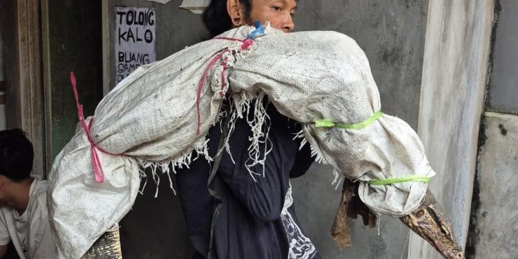 Heboh di Tambora Jakarta Selatan, Pria Dikira Angkut Mayat Ternyata Bawa Sosok Ini, Ngeri!
