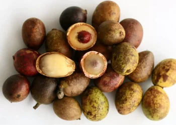 Mau Kulit Wajah Cerah Layaknya Artis Korea? Yuk Gunakan Buah Matoa, Ini Manfaatnya!