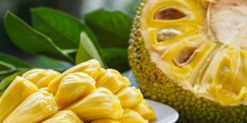 Pasti Bikin Ngantuk, Kenali 5 Efek Samping Konsumsi Buah Nangka Berlebihan