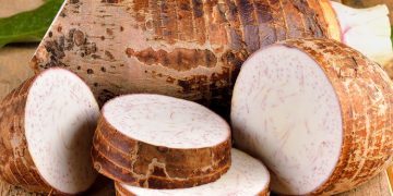 Tak Hanya Lezat, Inilah 6 Manfaat Umbi Talas untuk Kesehatan Tubuh