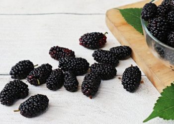 Klaim 6 Manfaat Buah Murbei untuk Kecantikan Kulit, Bisa Dijadikan Masker Lho!