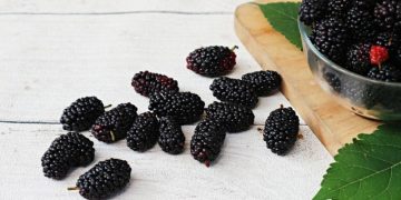 Klaim 6 Manfaat Buah Murbei untuk Kecantikan Kulit, Bisa Dijadikan Masker Lho!