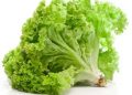 Tinggi Kandungan Air, Cek Disini 6 Manfaat Selada untuk Kesehatan