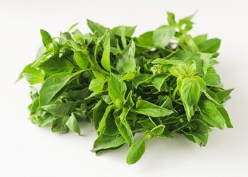 Inilah Sederet Efek Samping Mengonsumsi Daun Kemangi Berlebihan, Bikin Kesehatan Menurun