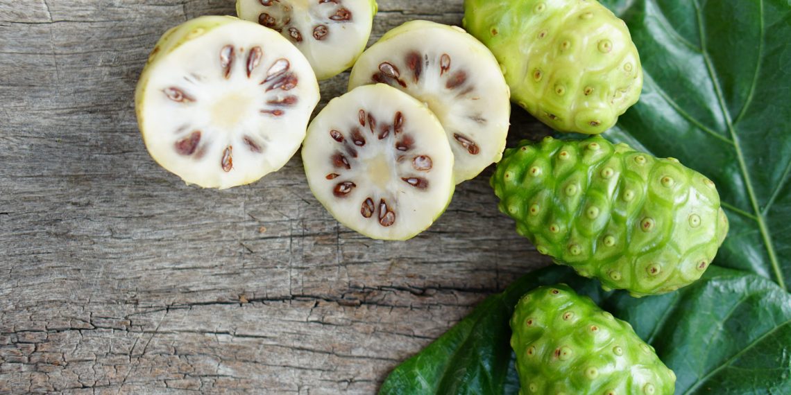 Dijadikan Sebagai Obat Tradisional, Inilah Manfaat Mengkudu untuk Kesehatan