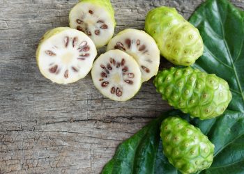 Dijadikan Sebagai Obat Tradisional, Inilah Manfaat Mengkudu untuk Kesehatan