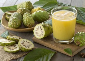 Konsumsi Buah Mengkudu Secara Berlebihan Bisa Memicu Timbulnya Efek Samping, Bikin Keracunan Kalium