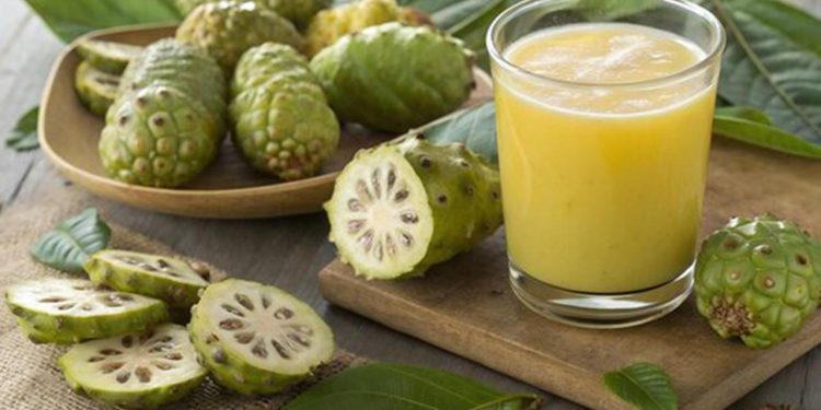 Konsumsi Buah Mengkudu Secara Berlebihan Bisa Memicu Timbulnya Efek Samping, Bikin Keracunan Kalium