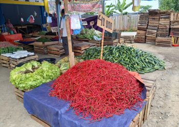 Inflasi Bengkulu Februari 2026 Capai 3,88 Persen, Ini Komoditas Dominasi Penyumbang