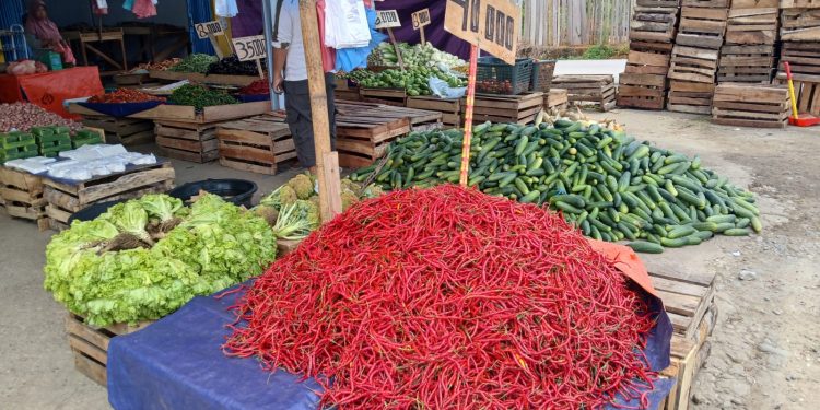 Inflasi Bengkulu Februari 2026 Capai 3,88 Persen, Ini Komoditas Dominasi Penyumbang