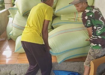 BPS Catat Penurunan NTP Bengkulu, Harga yang Dibayar Petani Lebih Tinggi dari Pendapatan