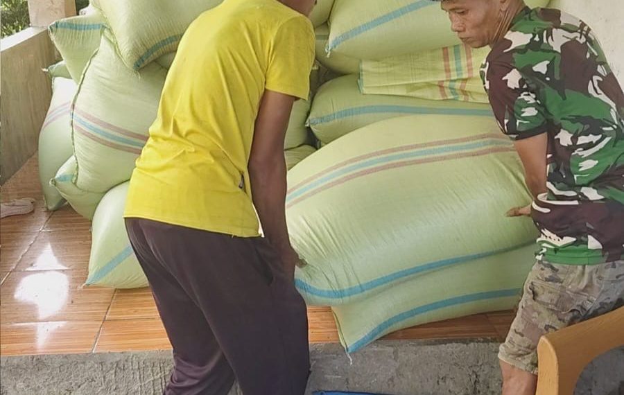 BPS Catat Penurunan NTP Bengkulu, Harga yang Dibayar Petani Lebih Tinggi dari Pendapatan