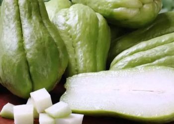 Cek Efek Samping Lain Konsumsi Labu Siam Berlebihan di Sini, Hati-hati Bisa Sebabkan Gangguan Pencernaan