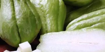 Cek Efek Samping Lain Konsumsi Labu Siam Berlebihan di Sini, Hati-hati Bisa Sebabkan Gangguan Pencernaan