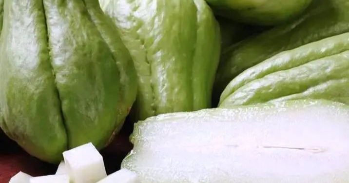 Cek Efek Samping Lain Konsumsi Labu Siam Berlebihan di Sini, Hati-hati Bisa Sebabkan Gangguan Pencernaan