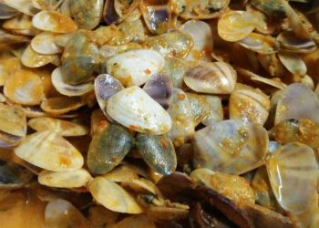 Gulai Remis, Kuliner Lokal Khas Cita Rasa Pesisir yang Melekat di Lidah Warga Seluma